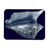 MUSCHELN I MAGNET (Horizontal)