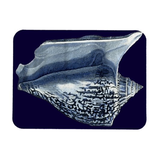 MUSCHELN I MAGNET (Horizontal)