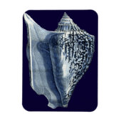 MUSCHELN I MAGNET (Vertikal)