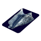 MUSCHELN I MAGNET (Linke Seite)