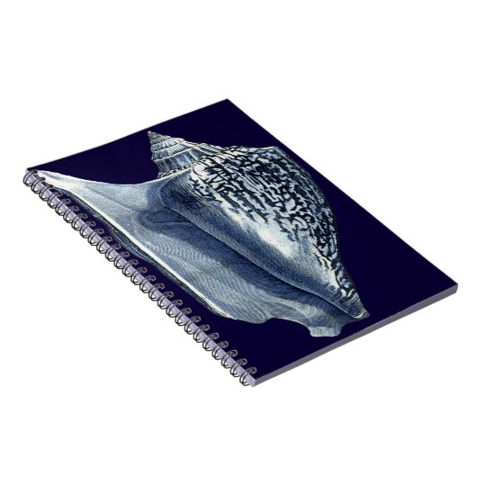 MUSCHELN I NOTIZBLOCK (Rechte Seite)