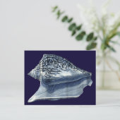 MUSCHELN I POSTKARTE (Stehend Vorderseite)