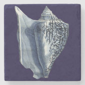 MUSCHELN I STEINUNTERSETZER (Vorderseite)