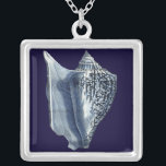 MUSCHELN I VERSILBERTE KETTE<br><div class="desc">Meeresleben</div>
