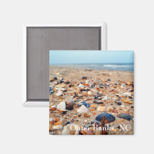 Muscheln im Beach Magnet (Vorderseite/Rückseite)