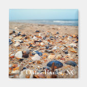 Muscheln im Beach Magnet (Vorne)