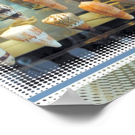 Muscheln im Fenster Poster (Ecke)