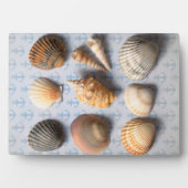 Muscheln im Hintergrund Fotoplatte (Vorderseite)