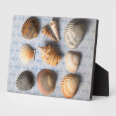 Muscheln im Hintergrund Fotoplatte (Seite)