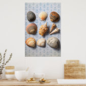 Muscheln im Hintergrund Poster (Küche)