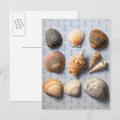 Muscheln im Hintergrund Postkarte (Vorne/Hinten)