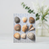 Muscheln im Hintergrund Postkarte (Stehend Vorderseite)