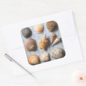 Muscheln im Hintergrund Quadratischer Aufkleber (Umschlag)