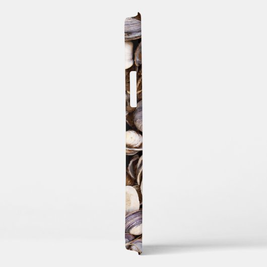 Muscheln im Mud Case-Mate iPhone Hülle (Rückseite / Rechts)