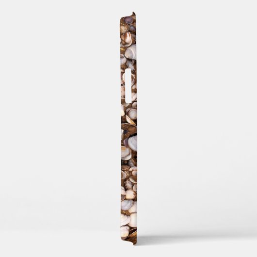 Muscheln im Mud Case-Mate iPhone Hülle (Rückseite / Rechts)