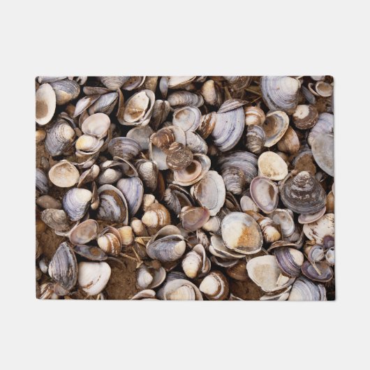 Muscheln im Mud Fußmatte (Vorderseite)
