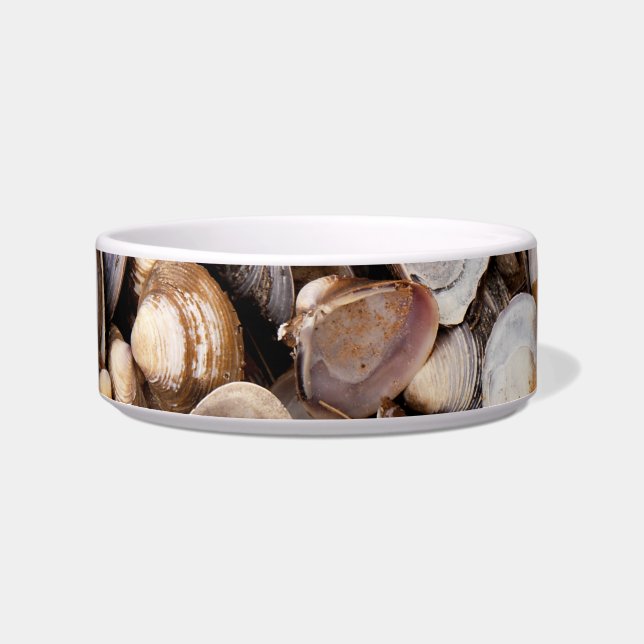 Muscheln im Mud Napf (Vorderseite)