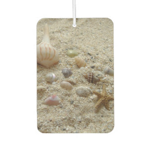 Muscheln im Sand Autolufterfrischer