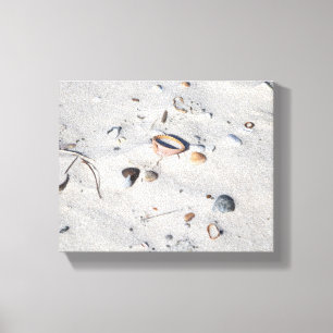 Muscheln im Sand Farbe 8x10 Leinwanddruck