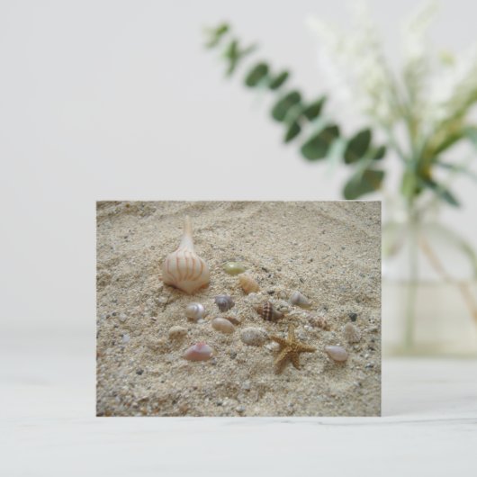 Muscheln im Sand Postkarte (Stehend Vorderseite)