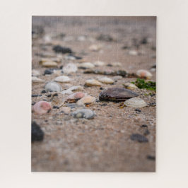 Muscheln im Strandpuzzle Puzzle
