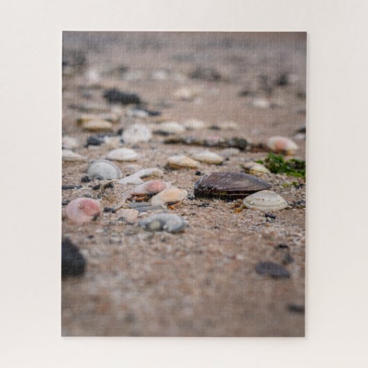 Muscheln im Strandpuzzle Puzzle (Vertikal)