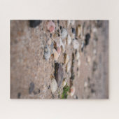 Muscheln im Strandpuzzle Puzzle (Horizontal)