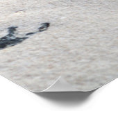 Muscheln in der Sandfarbe 16x20 Poster (Ecke)