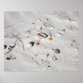 Muscheln in der Sandfarbe 16x20 Poster