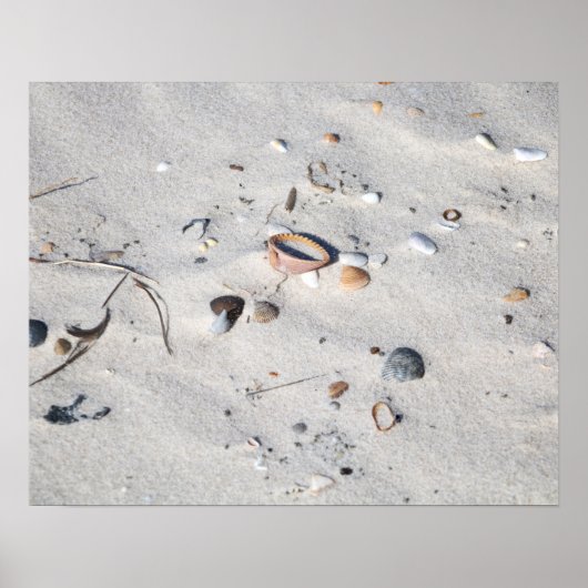 Muscheln in der Sandfarbe 16x20 Poster (Vorne)