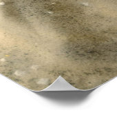 Muscheln in Sand Poster (Ecke)