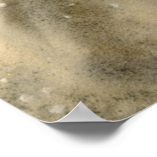 Muscheln in Sand Poster (Ecke)