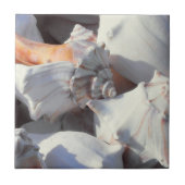 Muscheln in Sonnenlicht und Schatten Fliese (Vorderseite)