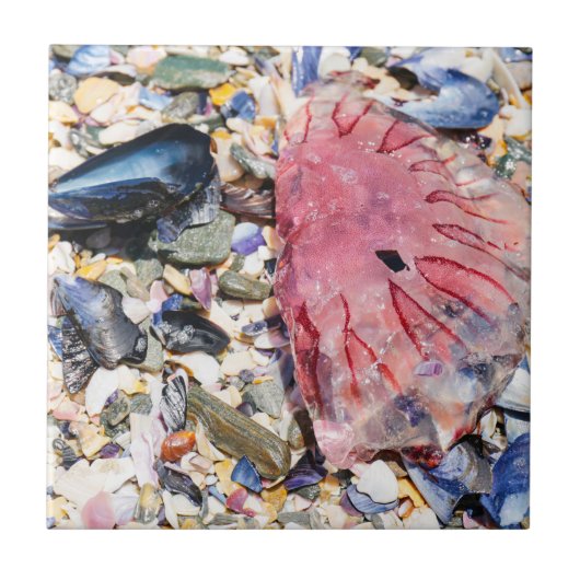 Muscheln Jellyfish Ocean Beach View Fliese (Vorderseite)