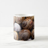 Muscheln Kaffeetasse (Mittel)
