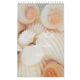 Muscheln Kalender 2017 Exotische tropische Romanti