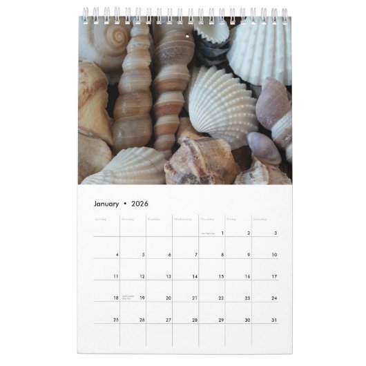 Muscheln Kalender 2017 Exotische tropische Romanti (Jan 2026)