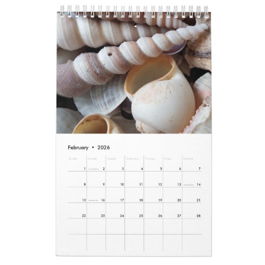 Muscheln Kalender 2017 Exotische tropische Romanti (Feb 2026)