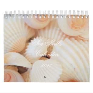 Muscheln Kalender 2017 Exotische tropische Romanti