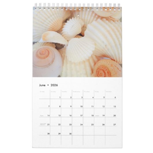 Muscheln Kalender 2024 Exotische tropische Romanti (Jun 2026)