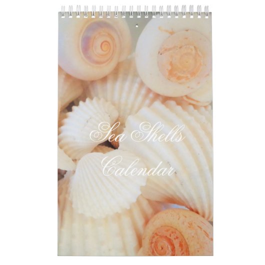 Muscheln Kalender Exotic Tropical Romantic (Titelbild)