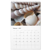 Muscheln Kalender Exotic Tropical Romantic (Feb 2027)