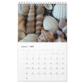 Muscheln Kalender Exotic Tropical Romantic (Jan 2027)