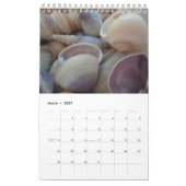 Muscheln Kalender Exotic Tropical Romantic (Mär 2027)