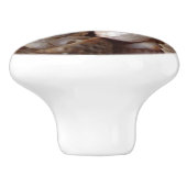 Muscheln, Kamm-Muscheln, Muscheln, Scallops Keramikknauf (Seitenansicht)