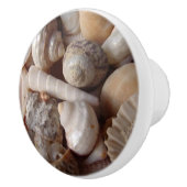 Muscheln, Kamm-Muscheln, Muscheln, Scallops Keramikknauf (Rechts)