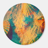 Muscheln, Kamm-Muscheln, Muscheln, Scallops Magnet (Vorne)