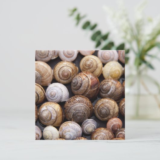 Muscheln Karte (Stehend Vorderseite)