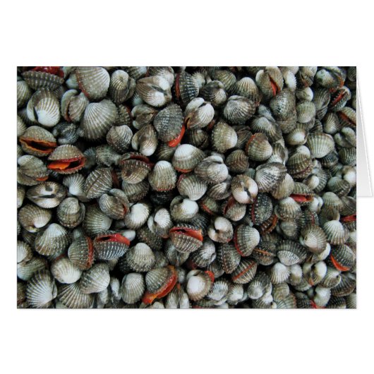 Muscheln-Karte des Blutcockles (Vorderseite (Horizontal))