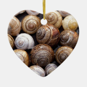 Muscheln Keramik Ornament